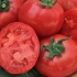 Koja su rajčica najukusnija i slatkija? Učenje izbora pravih sorti